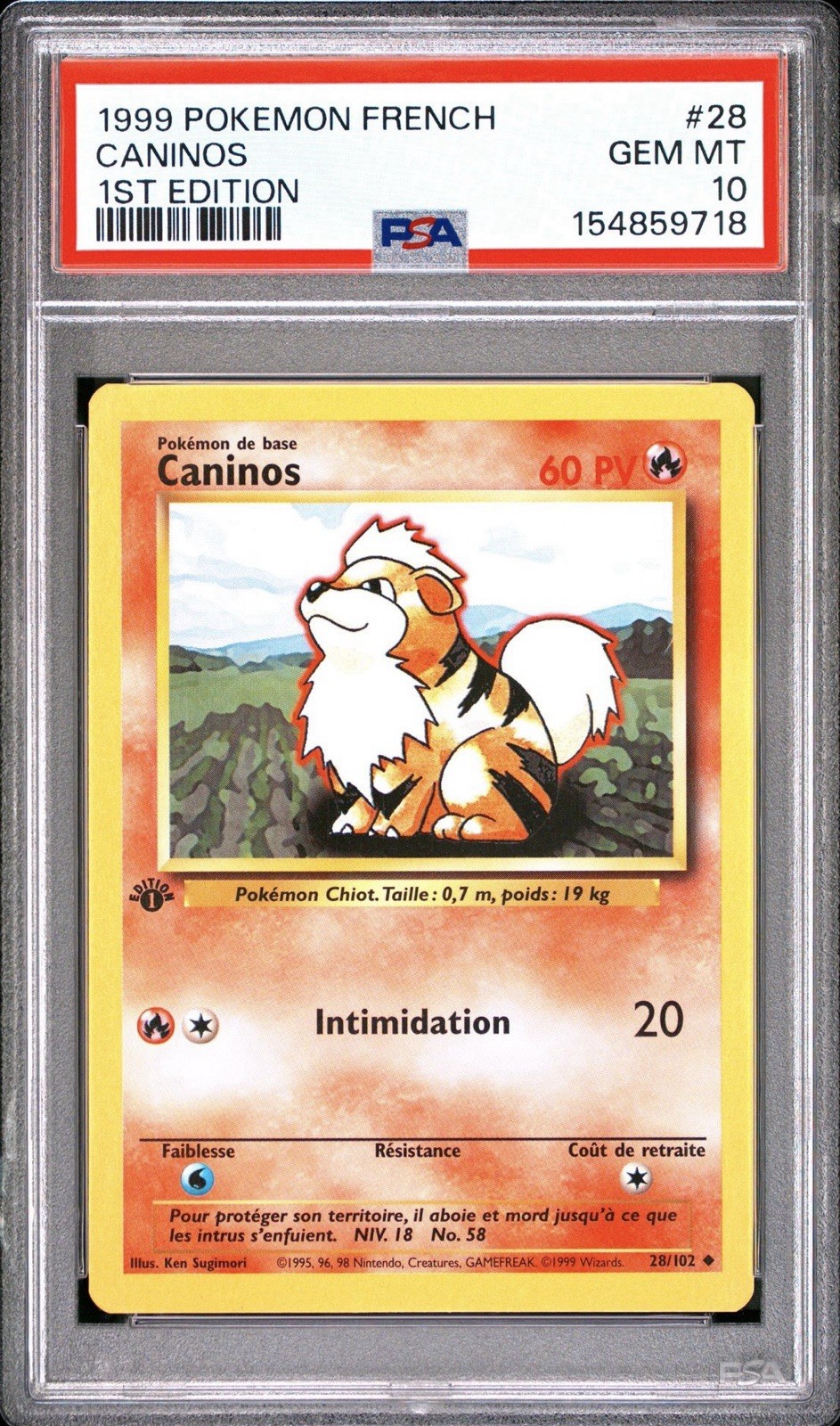1999 Pokemon French Caninos 1st Edition 28