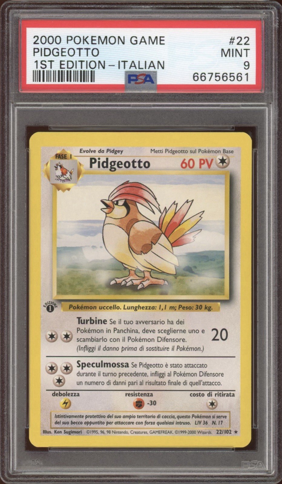 2000 Pokemon Game Pidgeotto 1st Edition-Italian 22
