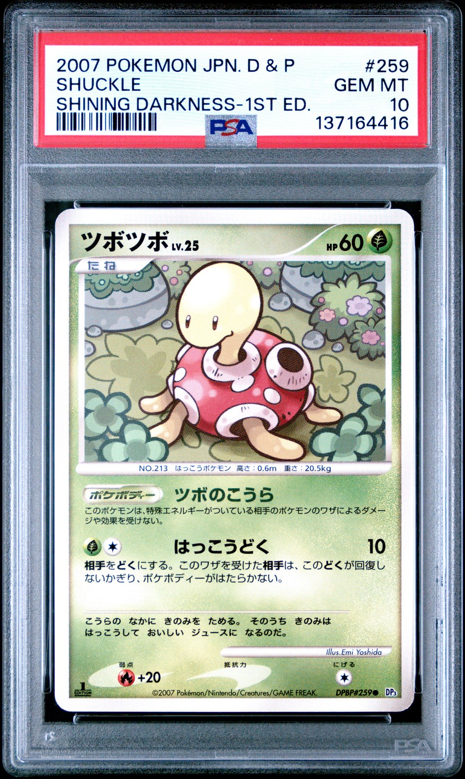 2007 Pokemon Japanese Diamond & Pearl Shining Darkness Shuckle 1st Edition 259