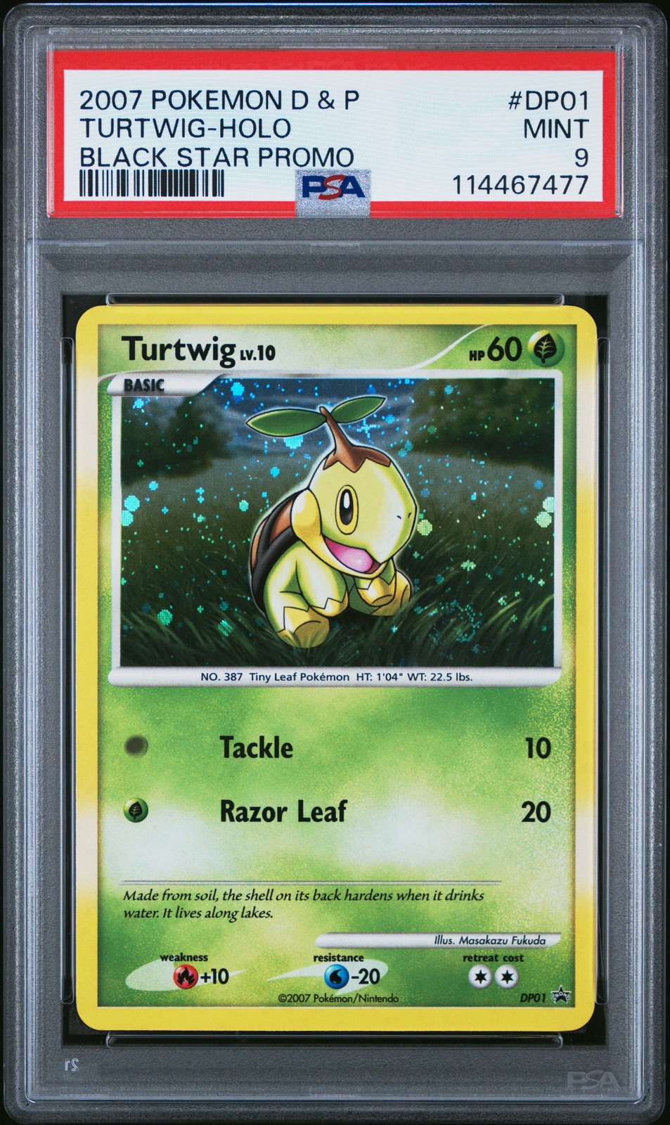 2007 Pokemon Diamond & Pearl Black Star Promo Turtwig-Holo DP01