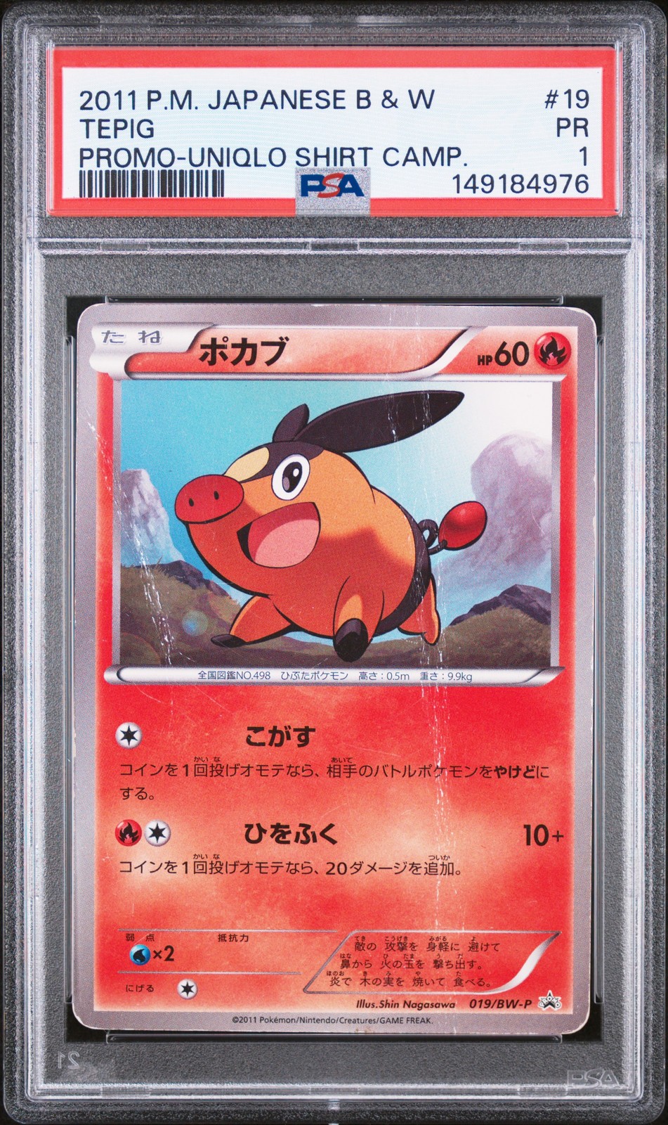 2011 Pokemon Japanese Black & White Promo Tepig Uniqlo Shirt Campaign 19