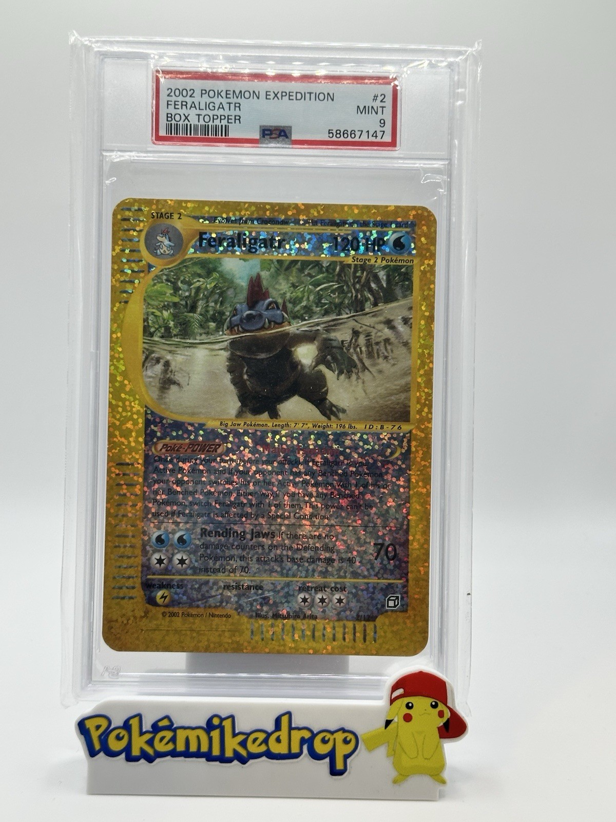 2002 Pokemon Expedition Box Topper Feraligatr 2