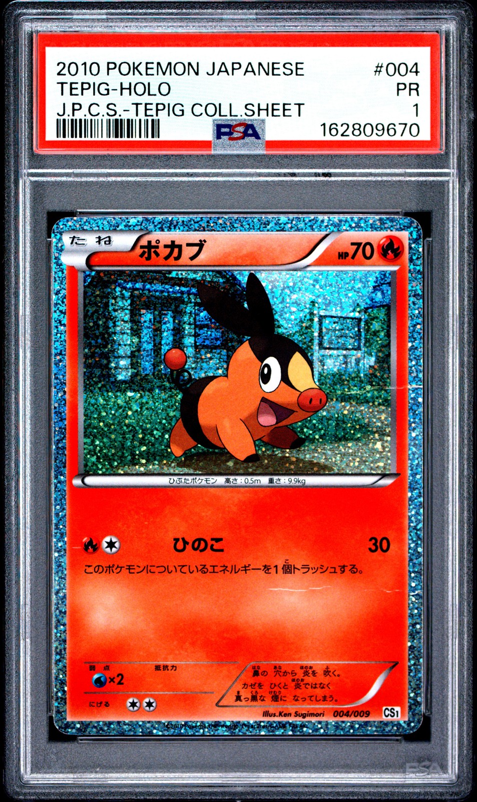 2010 Pokemon Japanese Journey Partners Collection Sheets Tepig-Holo Tepig Collection Sheet 004
