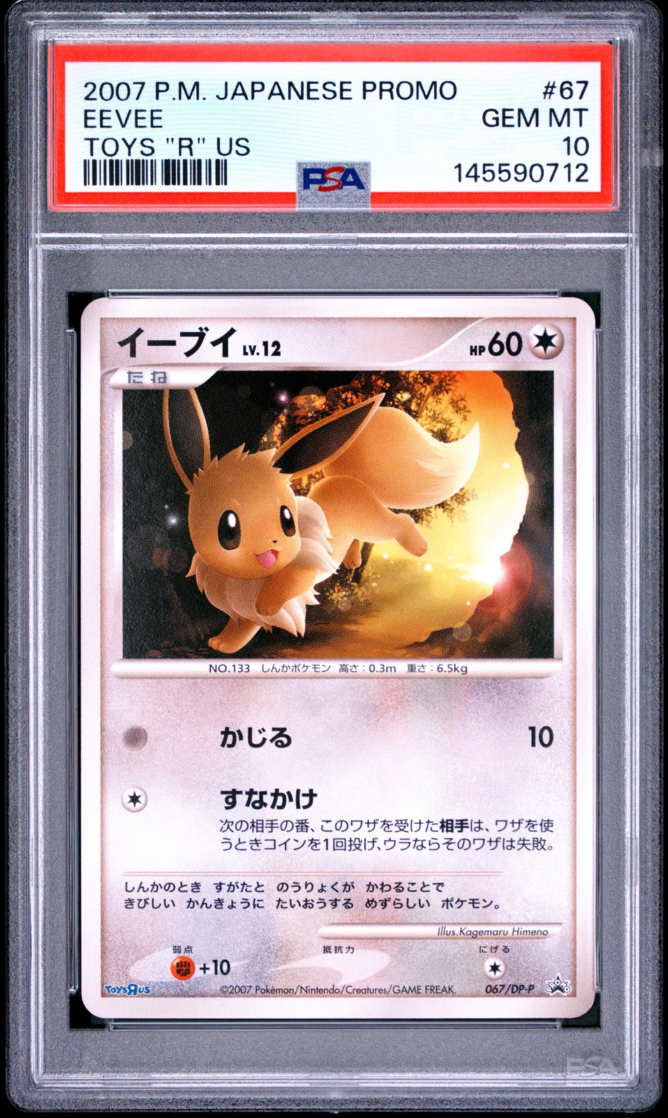 2007 Pokemon Japanese Promo Eevee Toys "R" US 67
