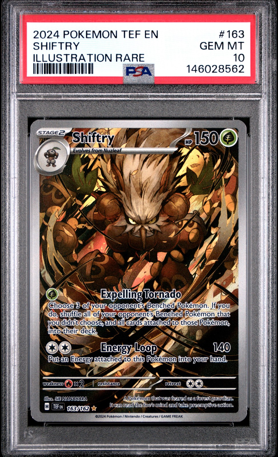 2024 Pokemon Tef EN-Temporal Forces Shiftry Illustration Rare 163