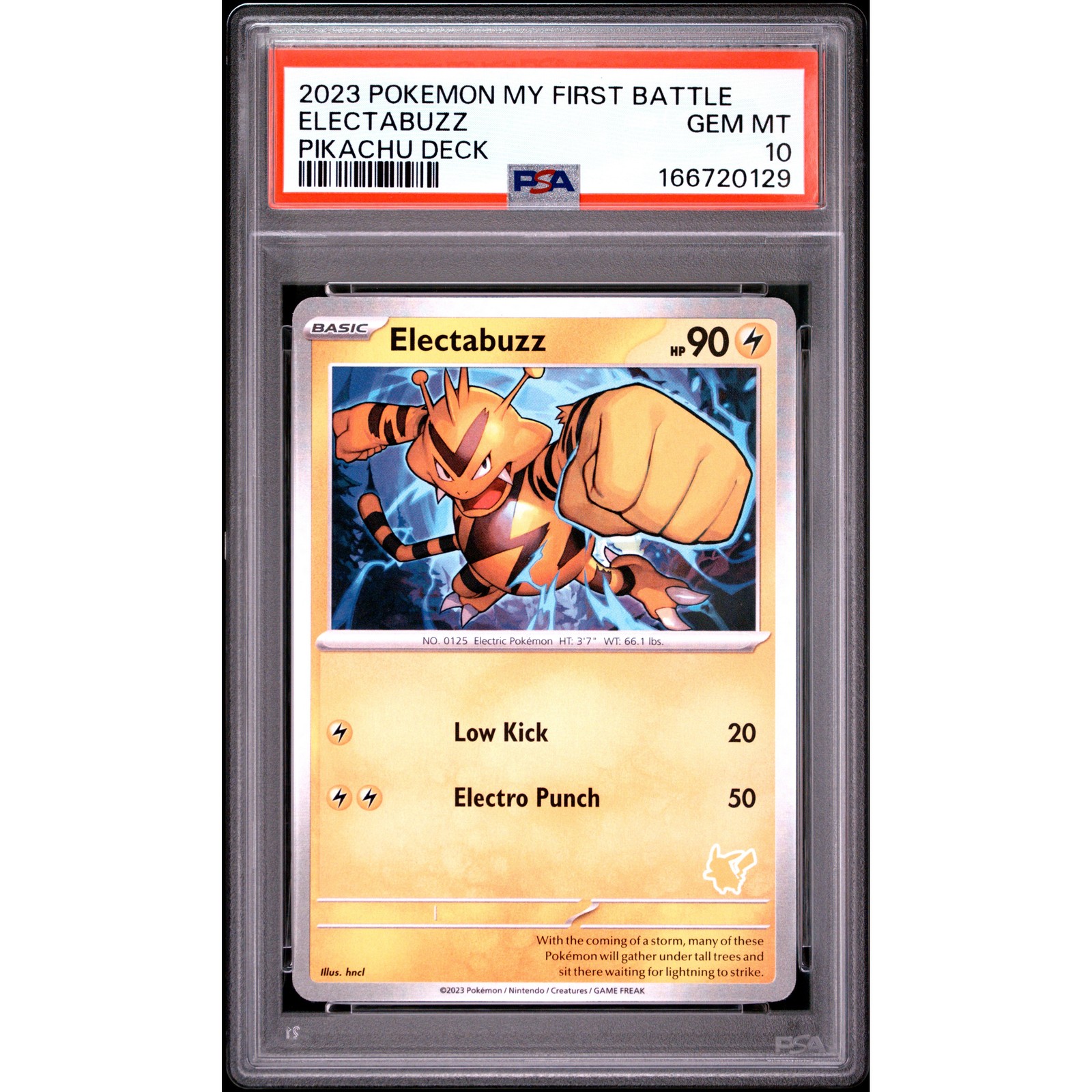 2023 Pokemon My First Battle-Pikachu Deck Electabuzz
