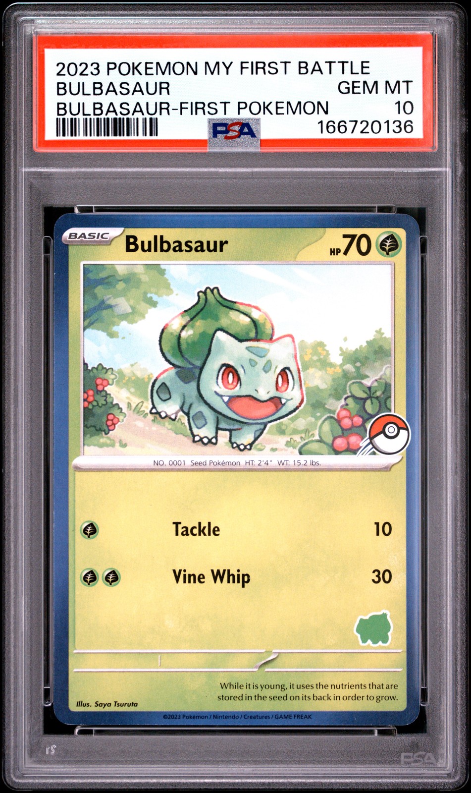 2023 Pokemon My First Battle-Bulbasaur Deck Bulbasaur First Pokemon