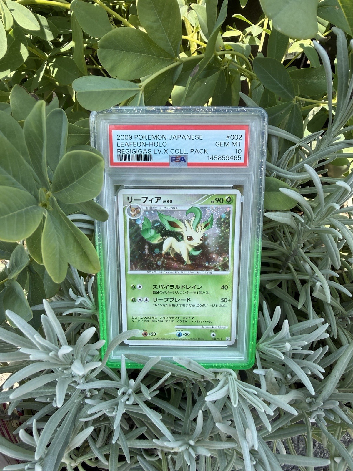 2009 Pokemon Japanese Regigigas LV.X Collection Pack Leafeon-Holo 002