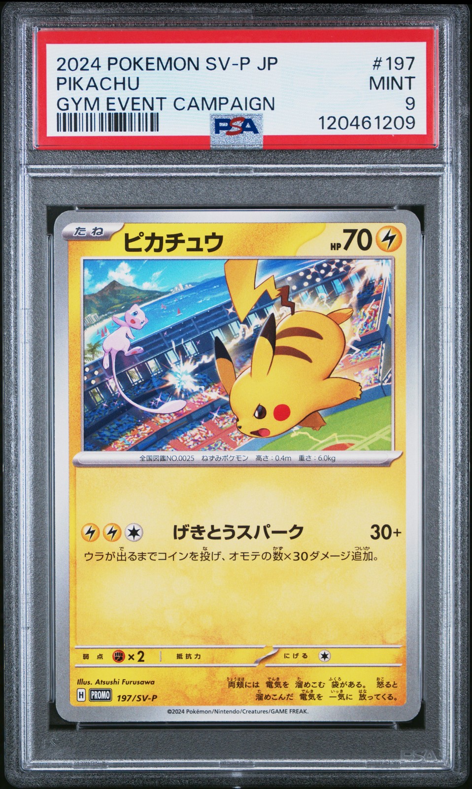 2024 Pokemon Japanese SV-P Promo Pikachu Gym Event Campaign 197