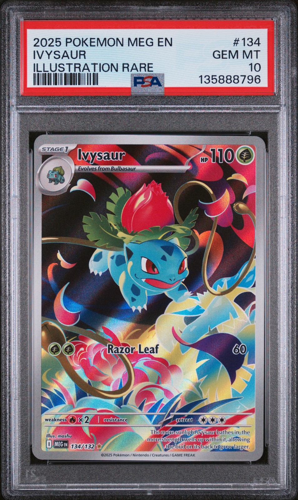 2025 Pokemon Meg EN-Mega Evolution Ivysaur Illustration Rare 134