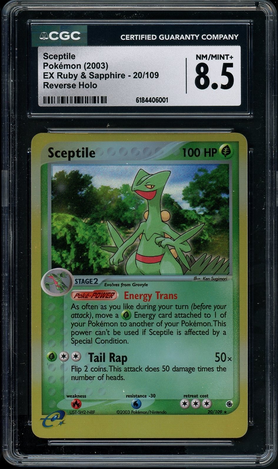 2003 EX Ruby & Sapphire (2003 Copyright, w/ "e" Symbol) - English Sceptile Rare Reverse Holo 20/109
