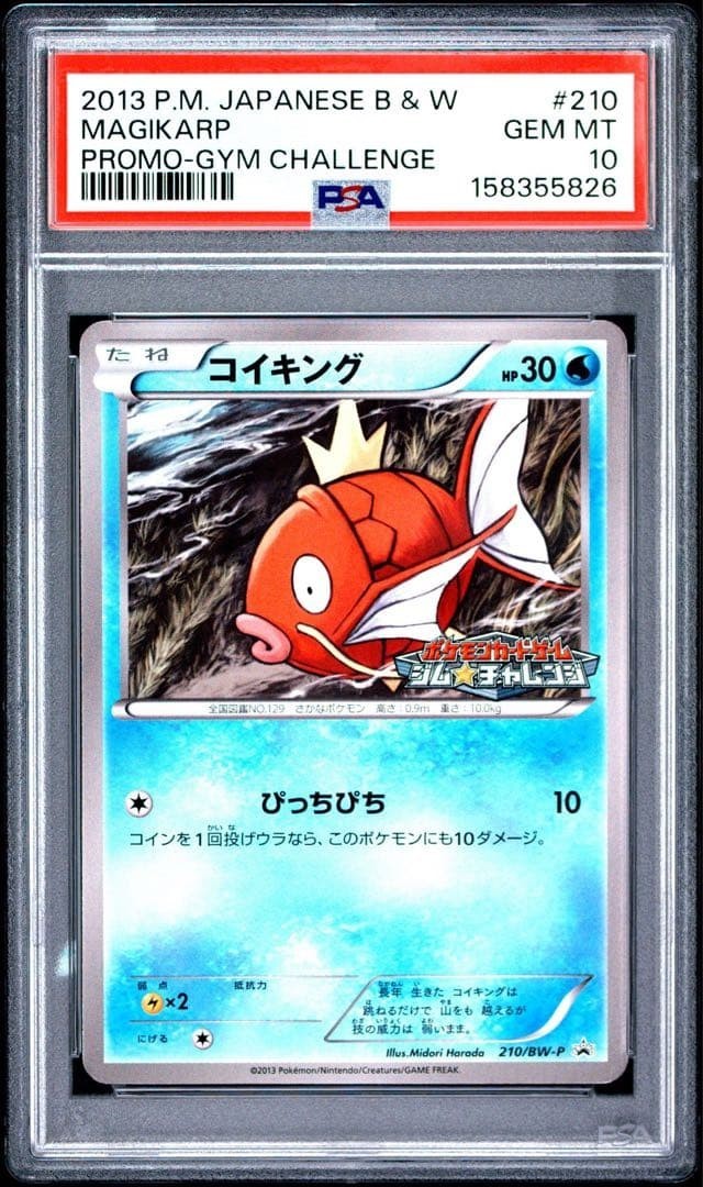 2013 Pokemon Japanese Black & White Promo Magikarp Gym Challenge 210