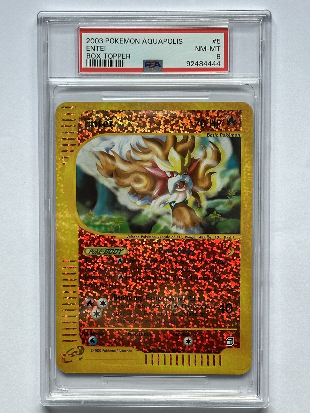 2003 Pokemon Aquapolis Box Topper Entei 5