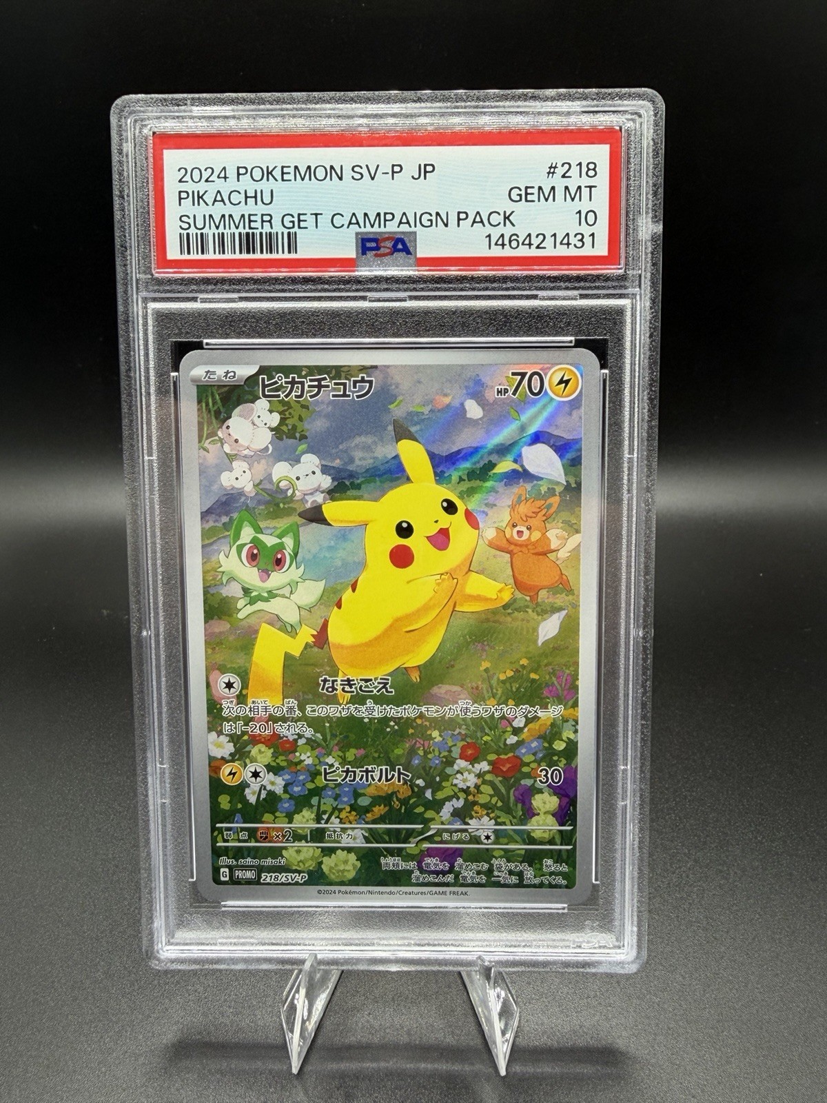 2024 Pokemon Japanese SV-P Promo Pikachu Summer of Pokeca Is Here! Promo Card Get Campaign Pack 218