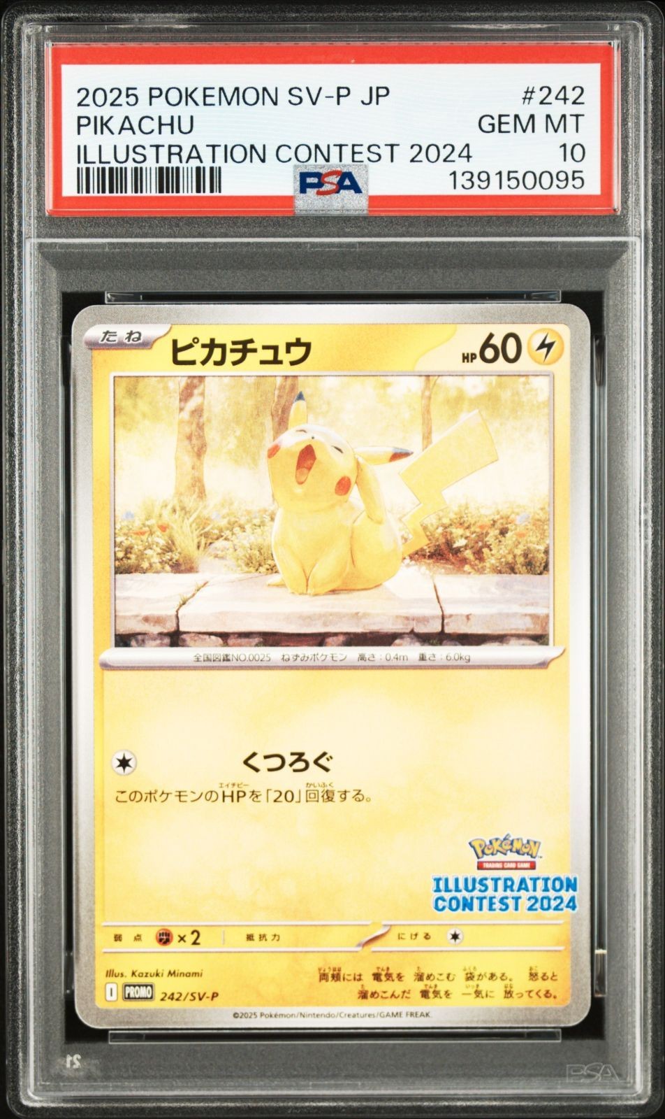 2025 Pokemon Japanese SV-P Promo Pikachu Illustration Contest 2024 242