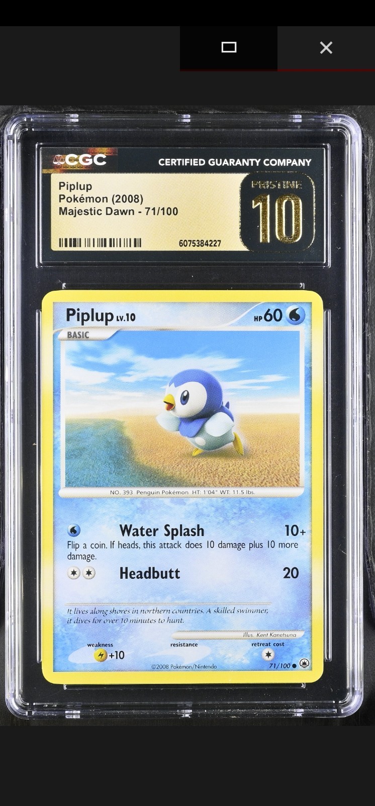 2008 Majestic Dawn - English Piplup Common 71/100