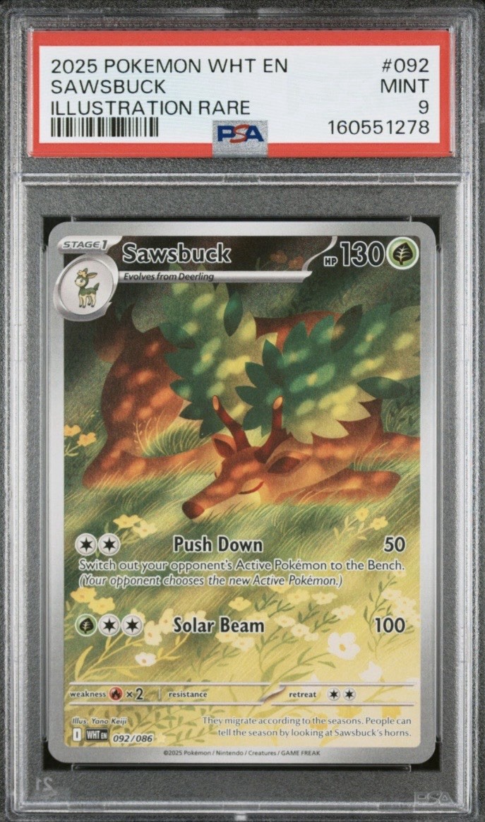 2025 Pokemon Wht EN-White Flare Sawsbuck Illustration Rare 092