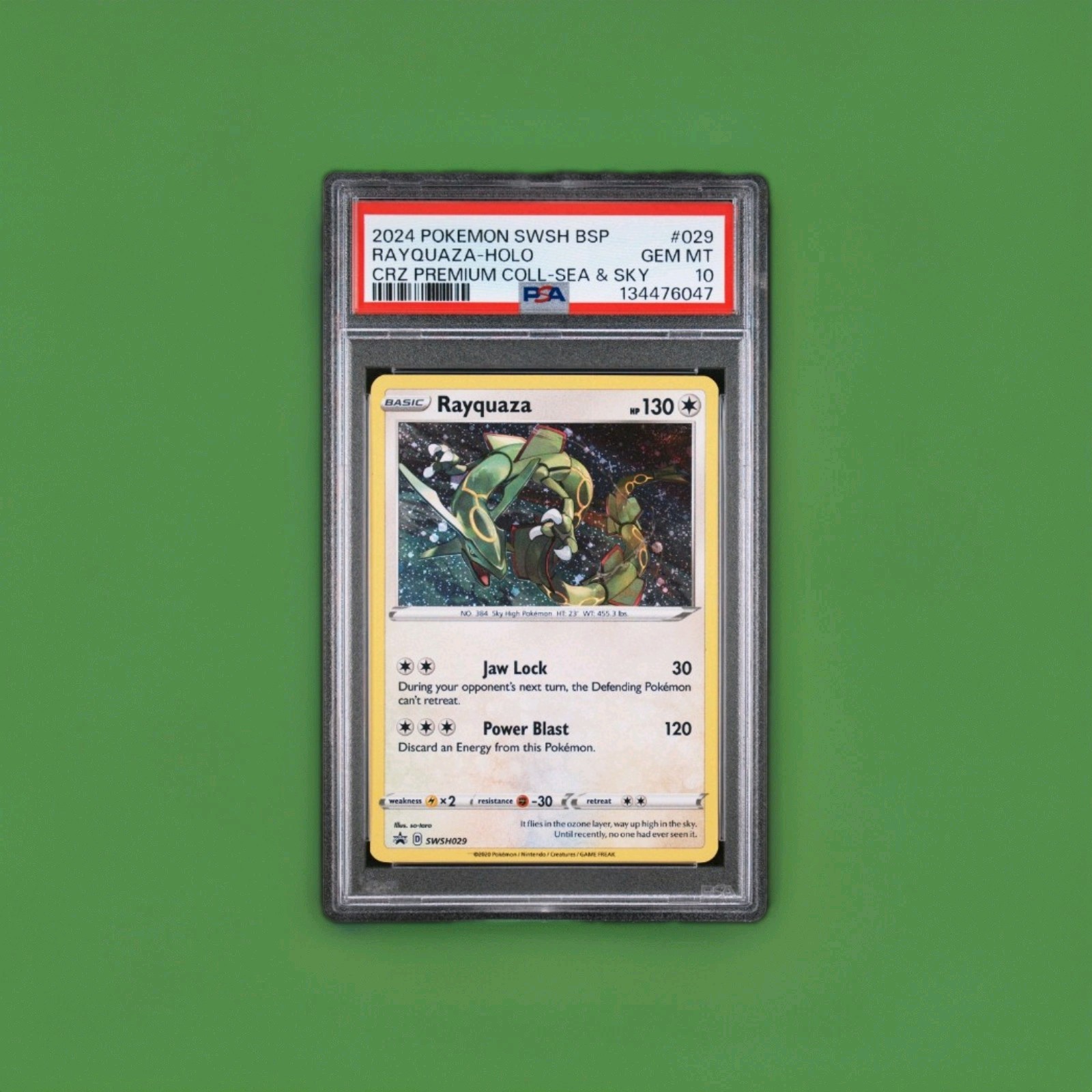 2024 Pokemon Swsh Black Star Promo Rayquaza-Holo Crown Zenith Premium Collection Sea & Sky  029