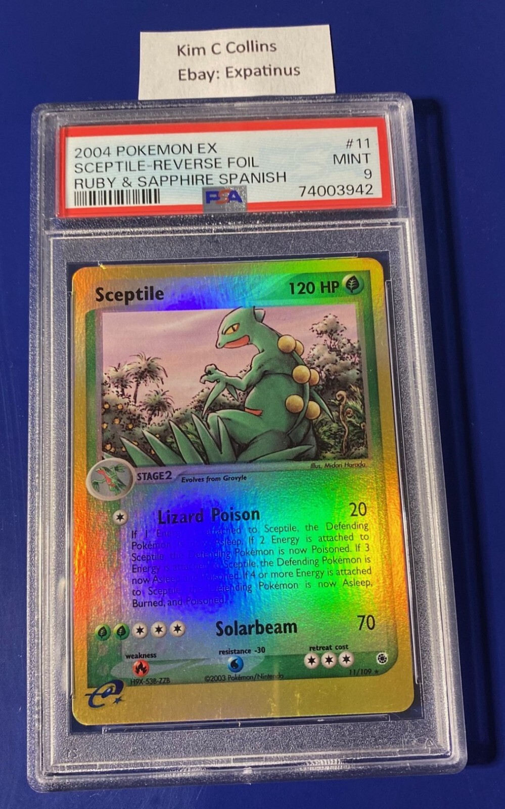 2004 Pokemon Spanish EX Ruby & Sapphire Sceptile-Reverse Foil 11