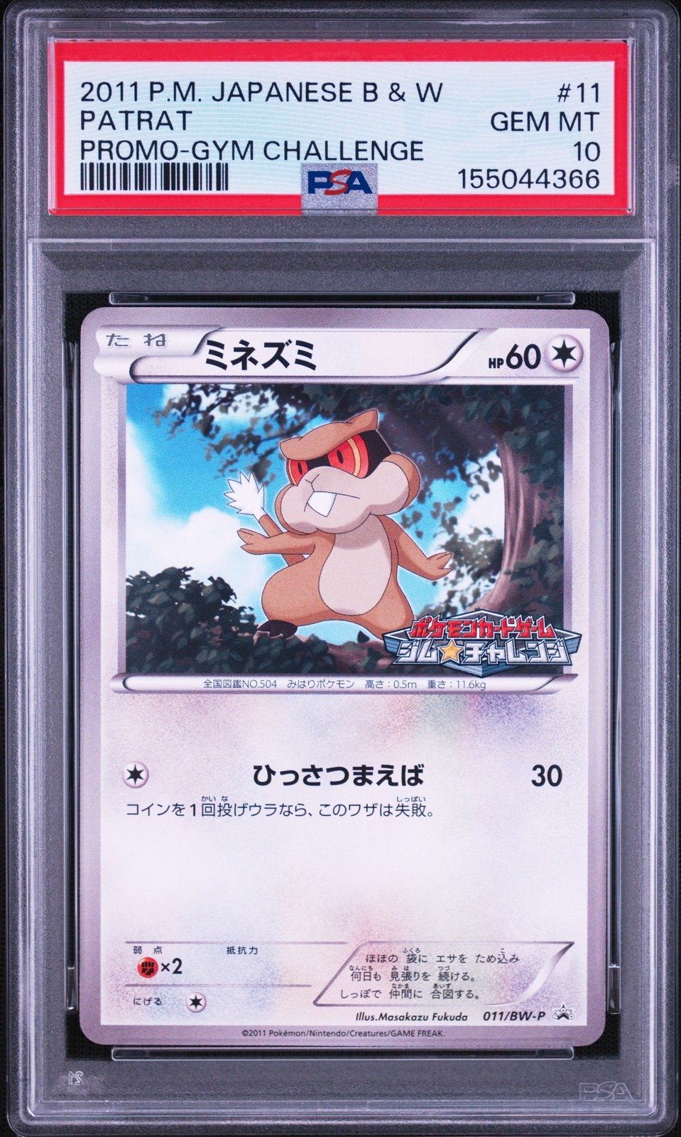 2011 Pokemon Japanese Black & White Promo Patrat Gym Challenge 11
