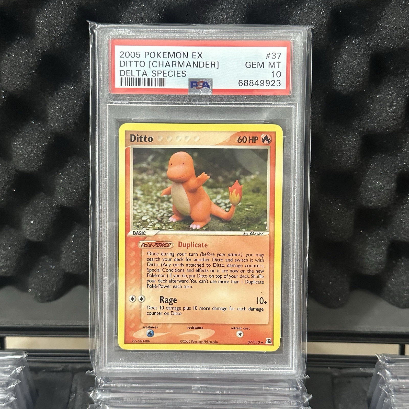 2005 Pokemon EX Delta Species Ditto [Charmander] 37