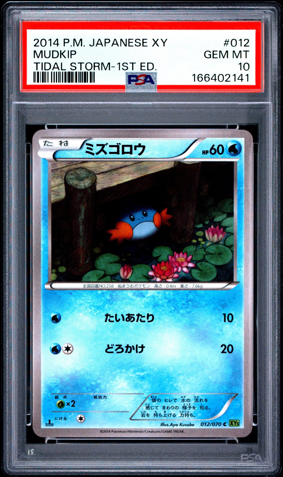 2014 Pokemon Japanese XY Tidal Storm Mudkip 1st Edition 012