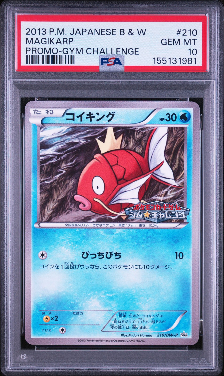 2013 Pokemon Japanese Black & White Promo Magikarp Gym Challenge 210