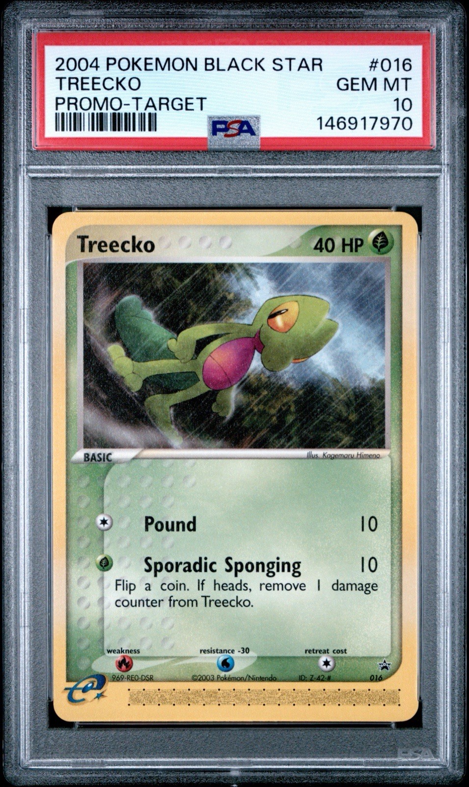 2004 Pokemon Black Star Promo Treecko Target 016