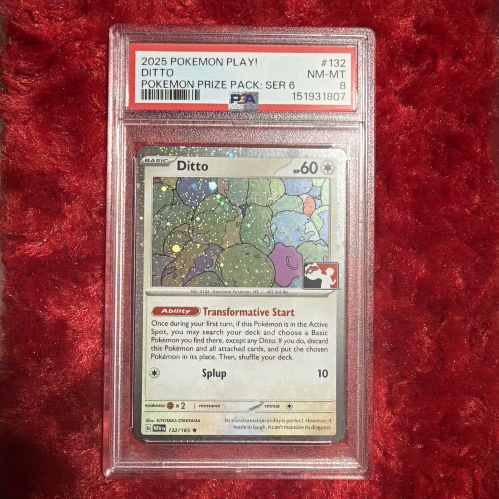 2025 Pokemon Play! Pokemon Prize Pack: Series 6 Ditto 132