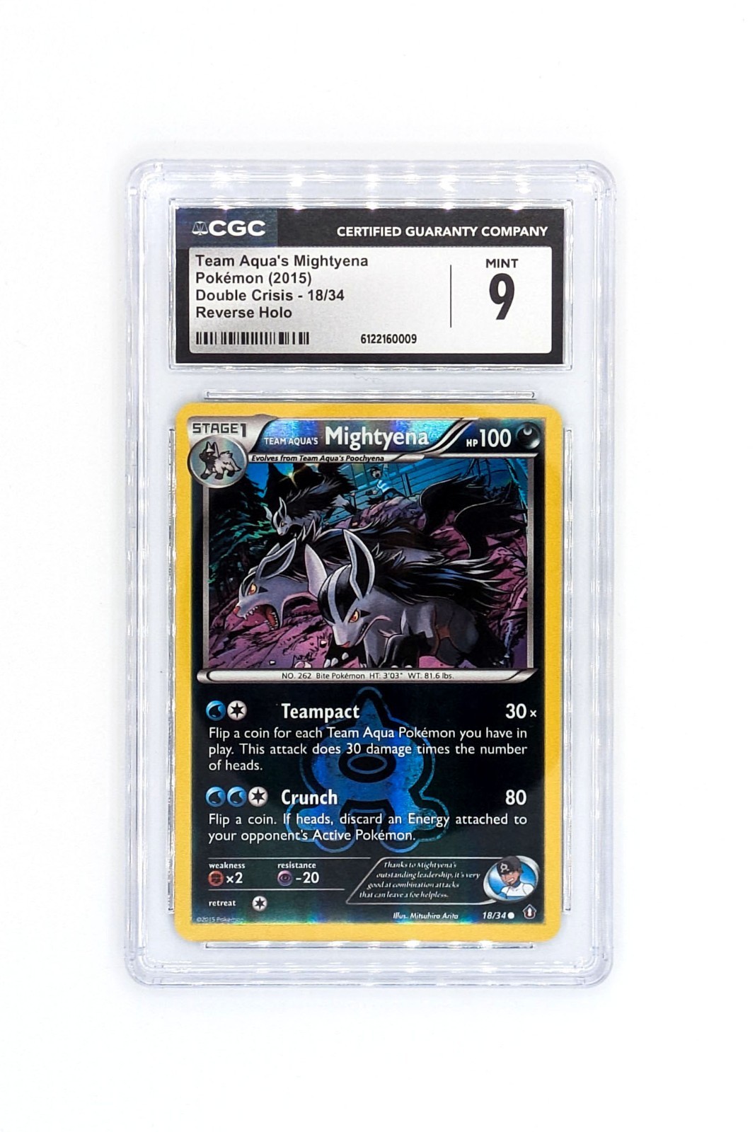 2015 Double Crisis - English Team Aqua's Mightyena Common Reverse Holo 18/34