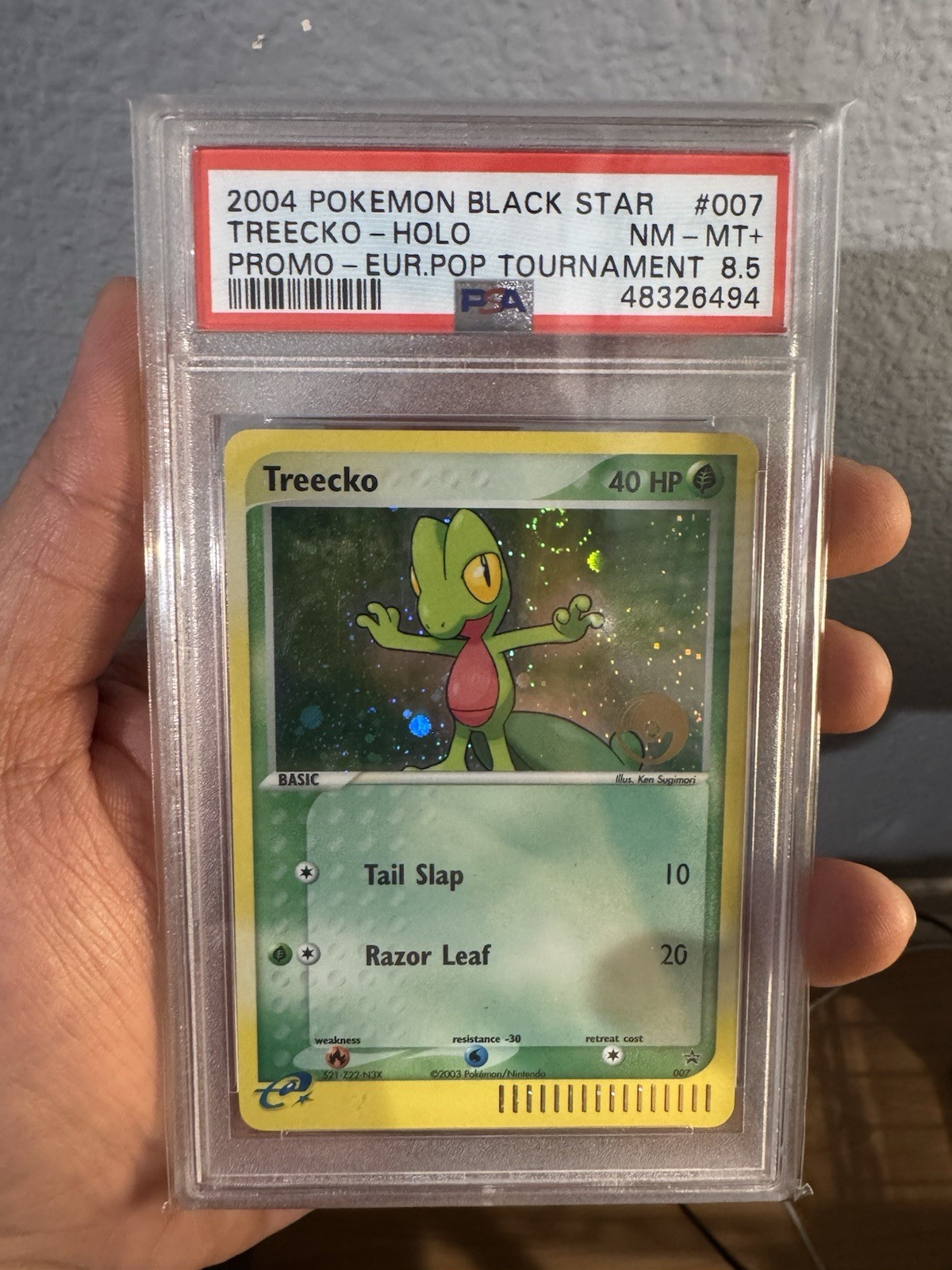 2004 Pokemon Black Star Promo Treecko-Holo European Pop Tournament 007