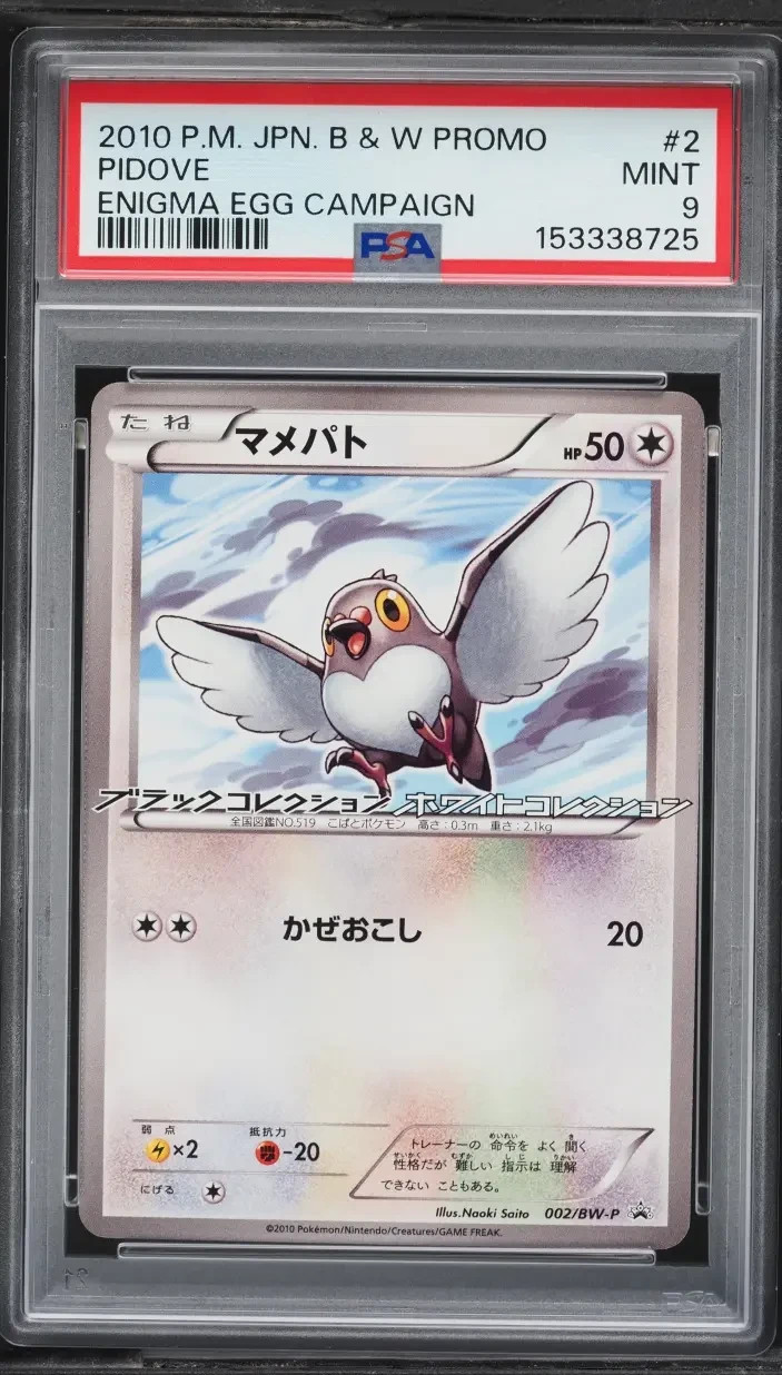 2010 Pokemon Japanese Black & White Promo Pidove Enigma Egg Campaign 2