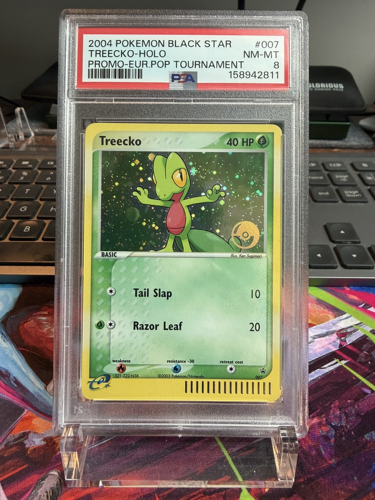 2004 Pokemon Black Star Promo Treecko-Holo European Pop Tournament 007