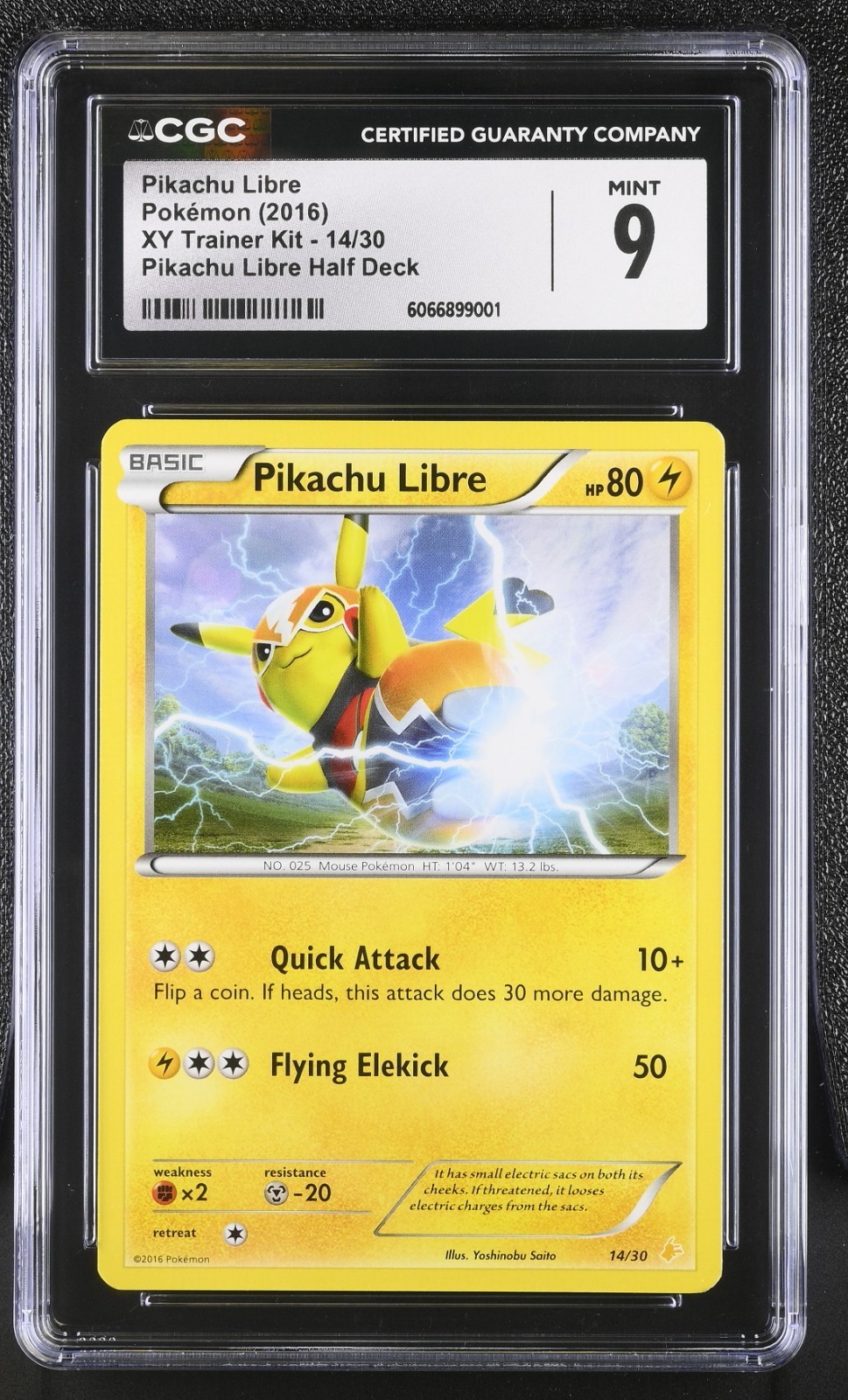2016 XY Trainer Kit - English Pikachu Libre Pikachu Libre Half Deck 14/30