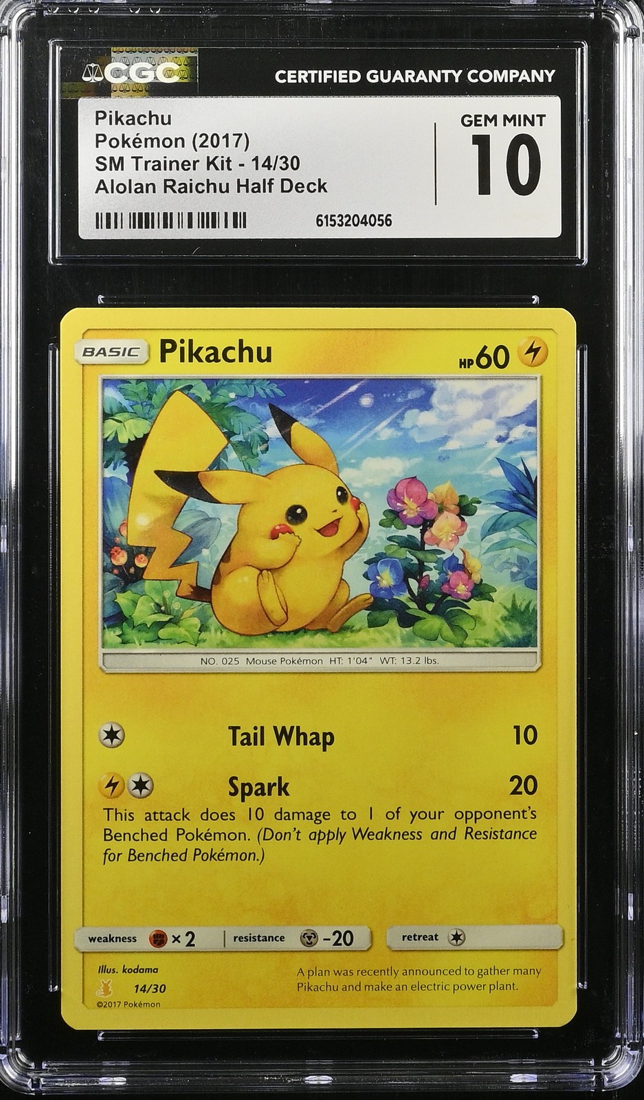 2017 SM Trainer Kit - English Pikachu Alolan Raichu Half Deck 14/30