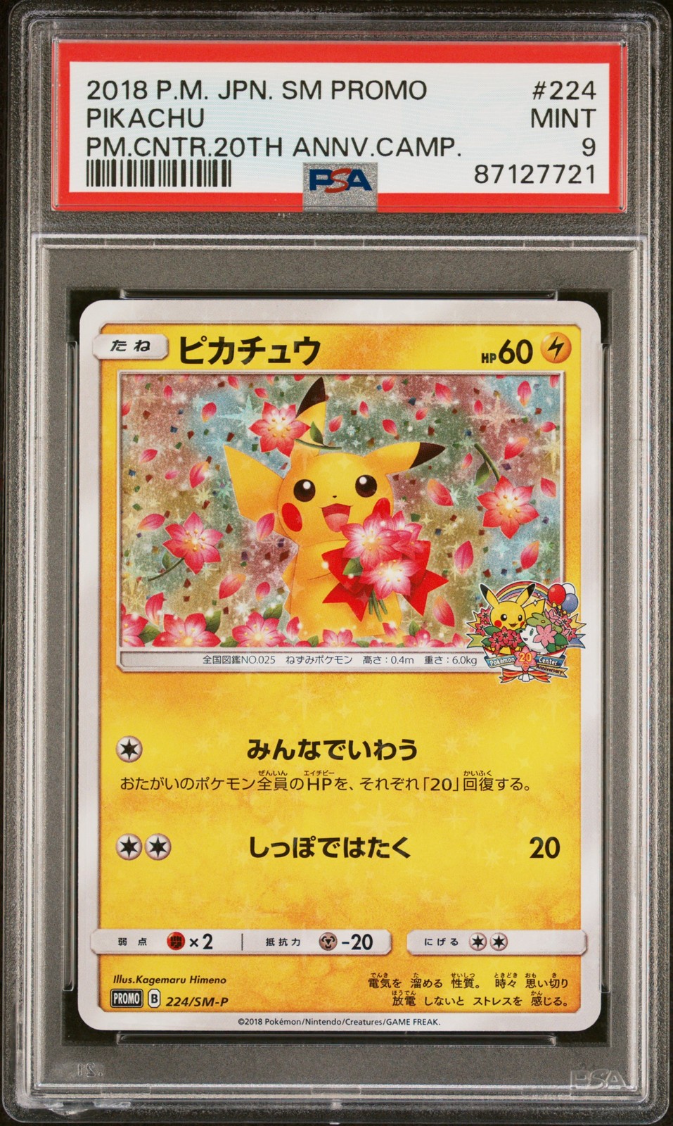 2018 Pokemon Japanese SM Promo Pikachu Pokemon Center 20th Anniversary Campaign 224