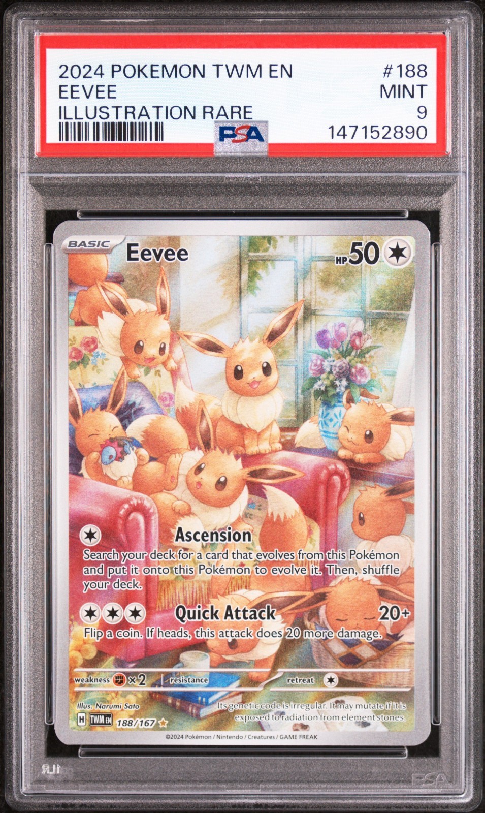 2024 Pokemon Twm EN-Twilight Masquerade Eevee Illustration Rare 188
