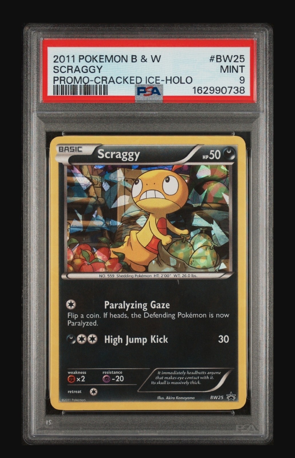 Scraggy Cracked Ice-Holo