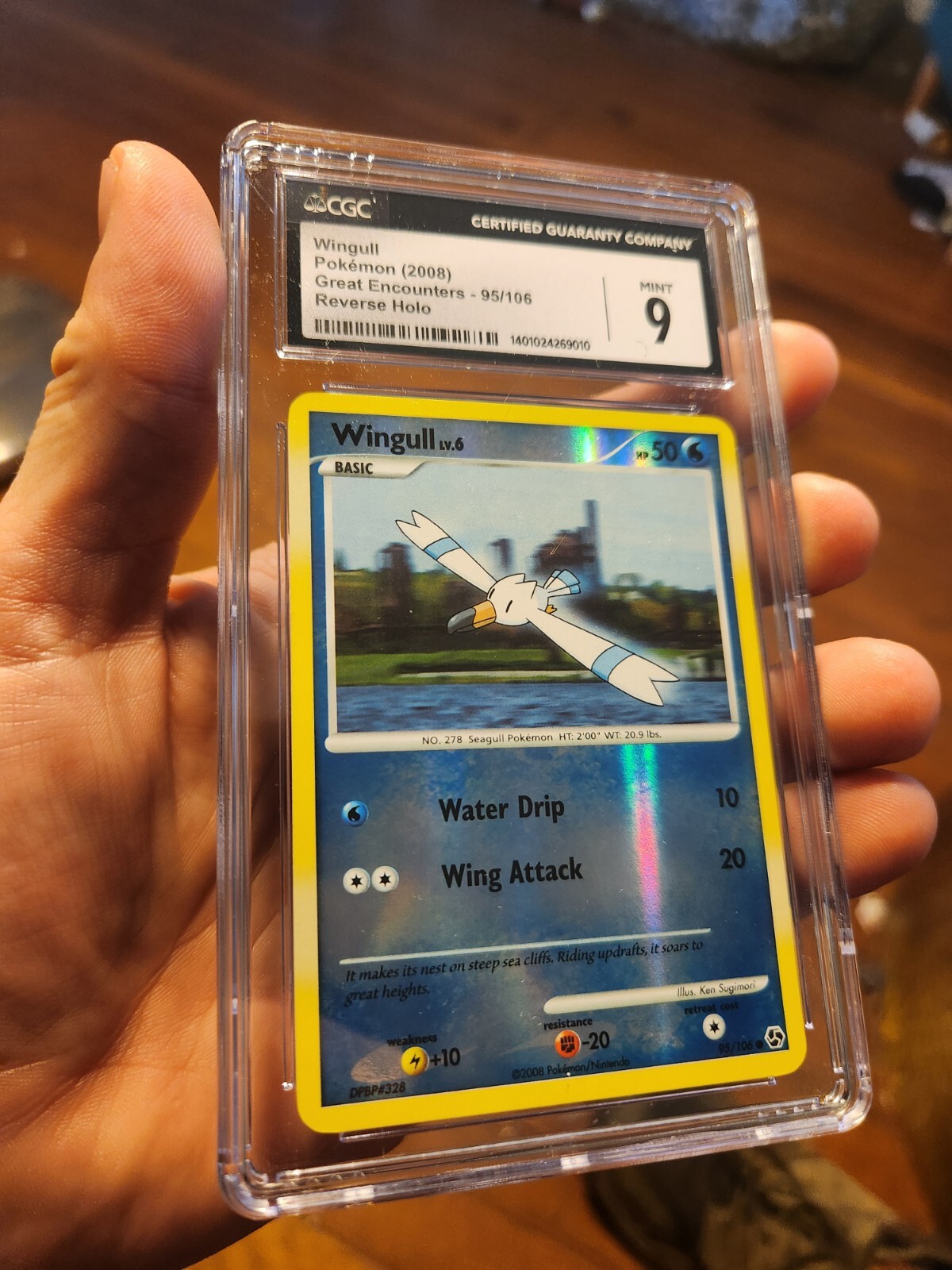 2008 Great Encounters - English Wingull Common Reverse Holo 95/106