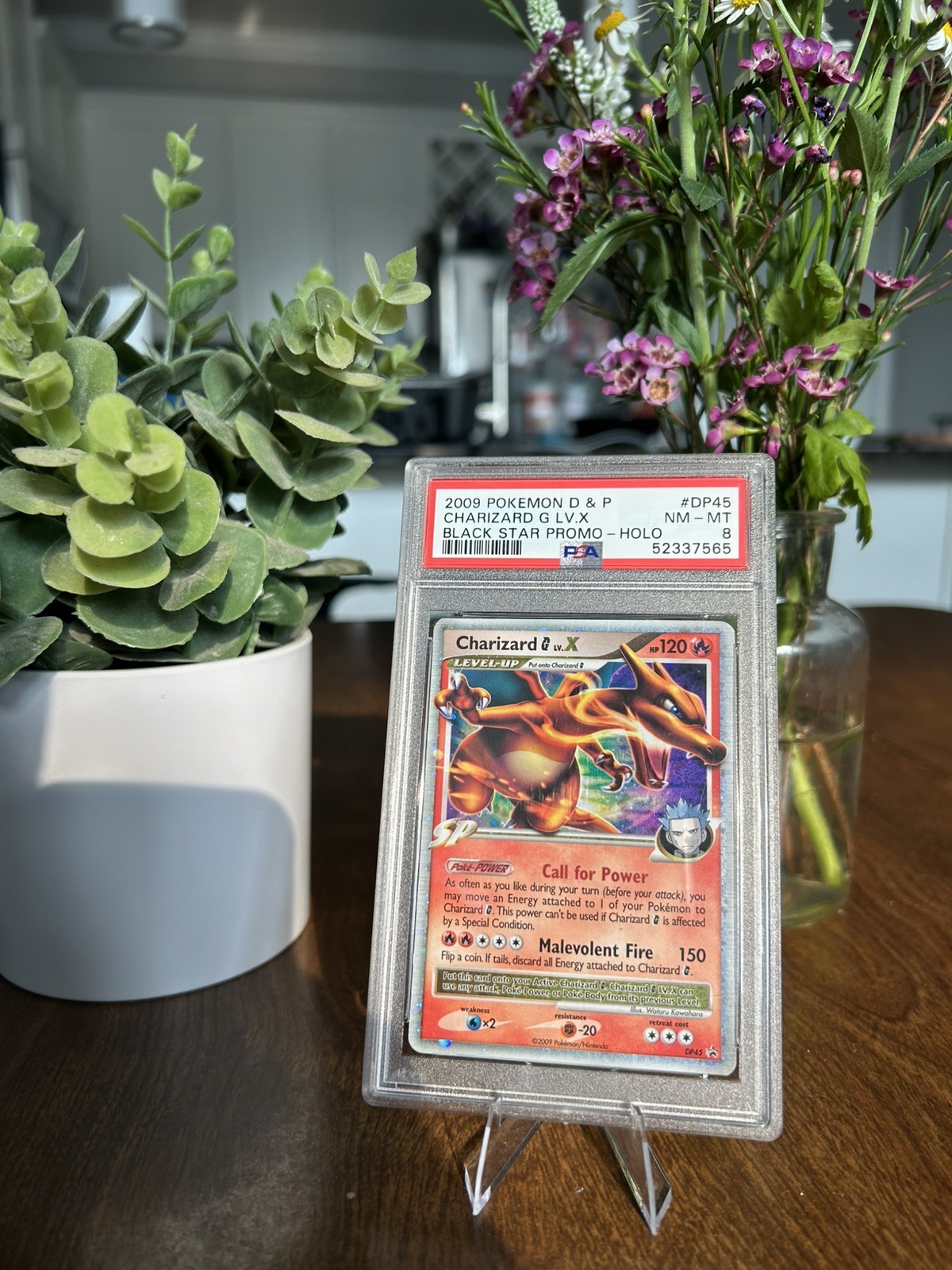 2009 Pokemon Diamond & Pearl Black Star Promo Charizard G LV.X Holo DP45