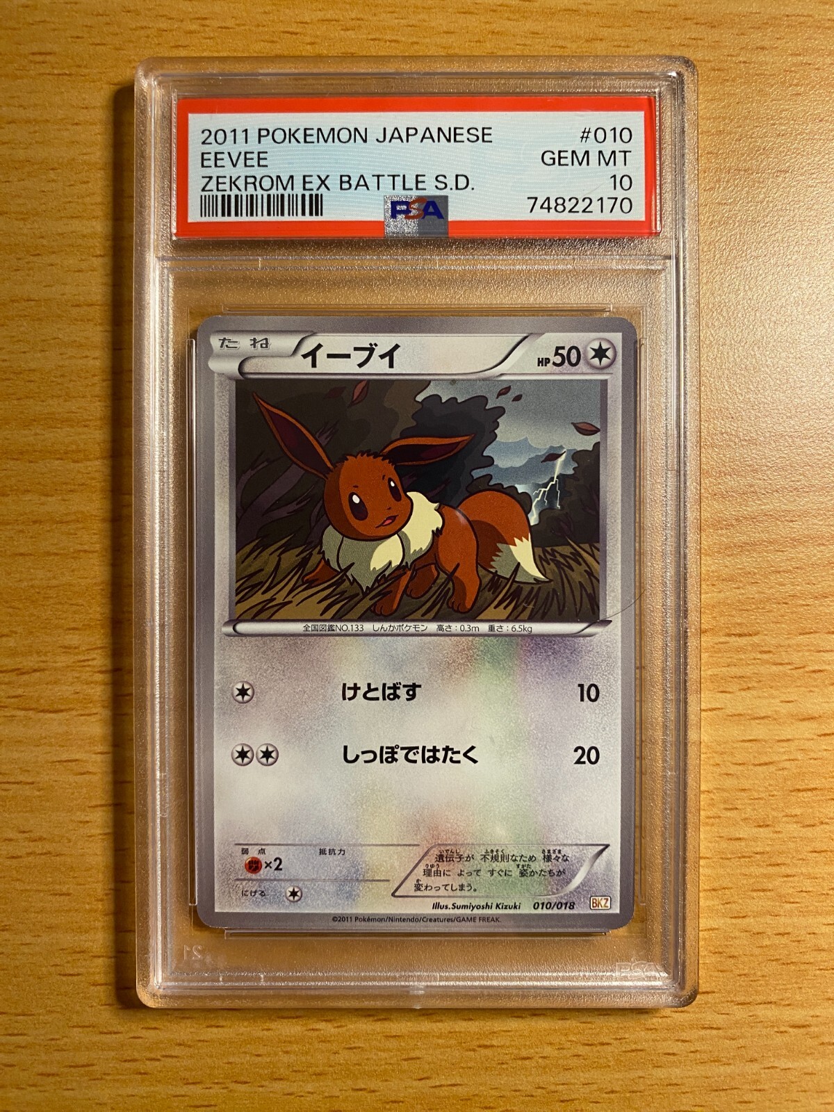 2011 Pokemon Japanese Zekrom EX Battle Strength Deck Eevee 010
