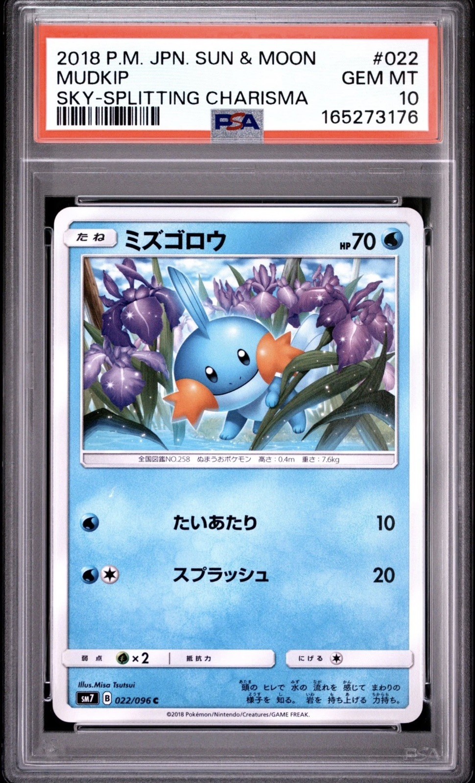 2018 Pokemon Japanese Sun & Moon Sky-Splitting Charisma Mudkip 022
