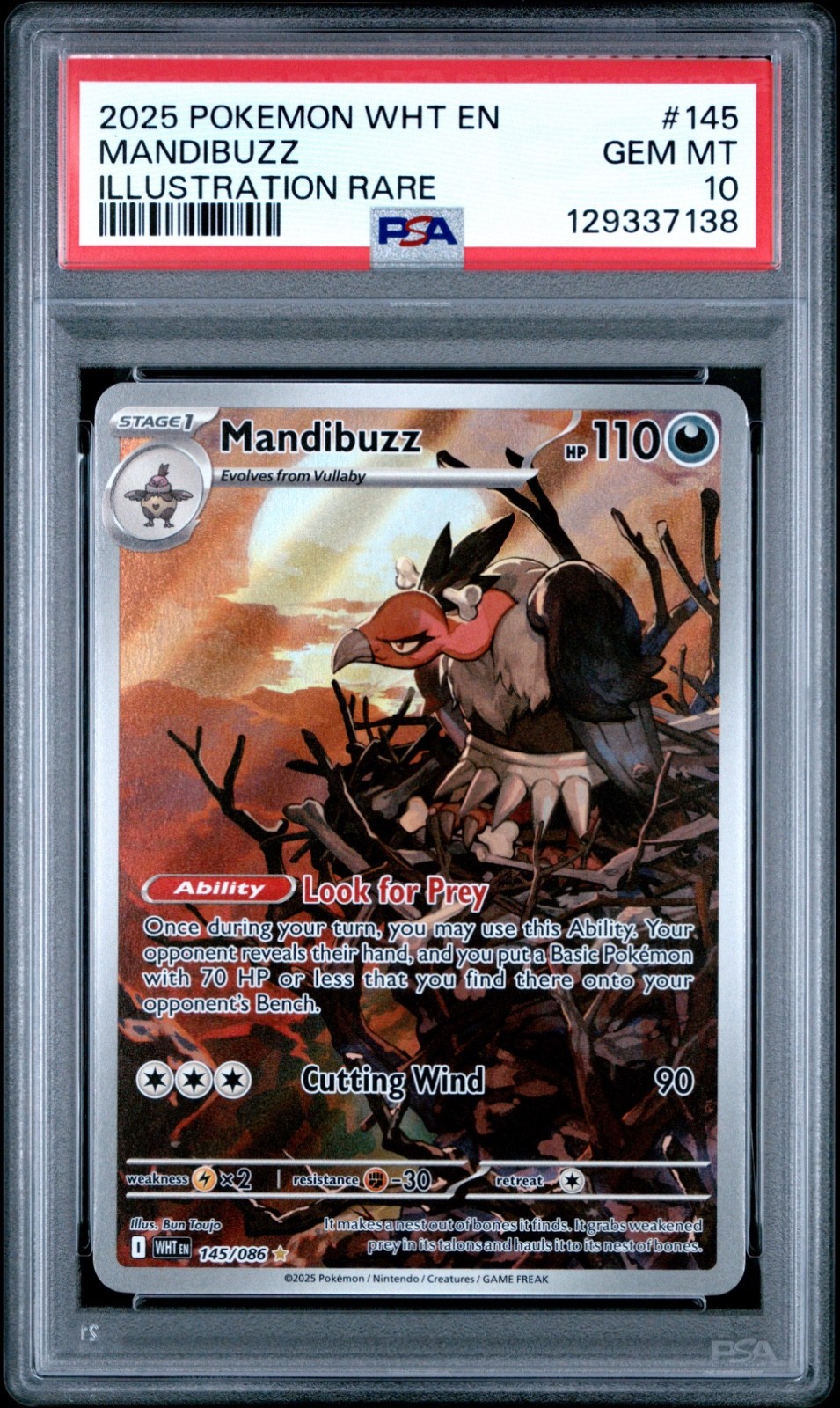 2025 Pokemon Wht EN-White Flare Mandibuzz Illustration Rare 145