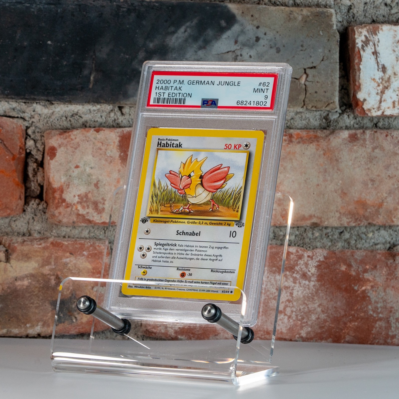 2000 Pokemon German Jungle Habitak 1st Edition 62