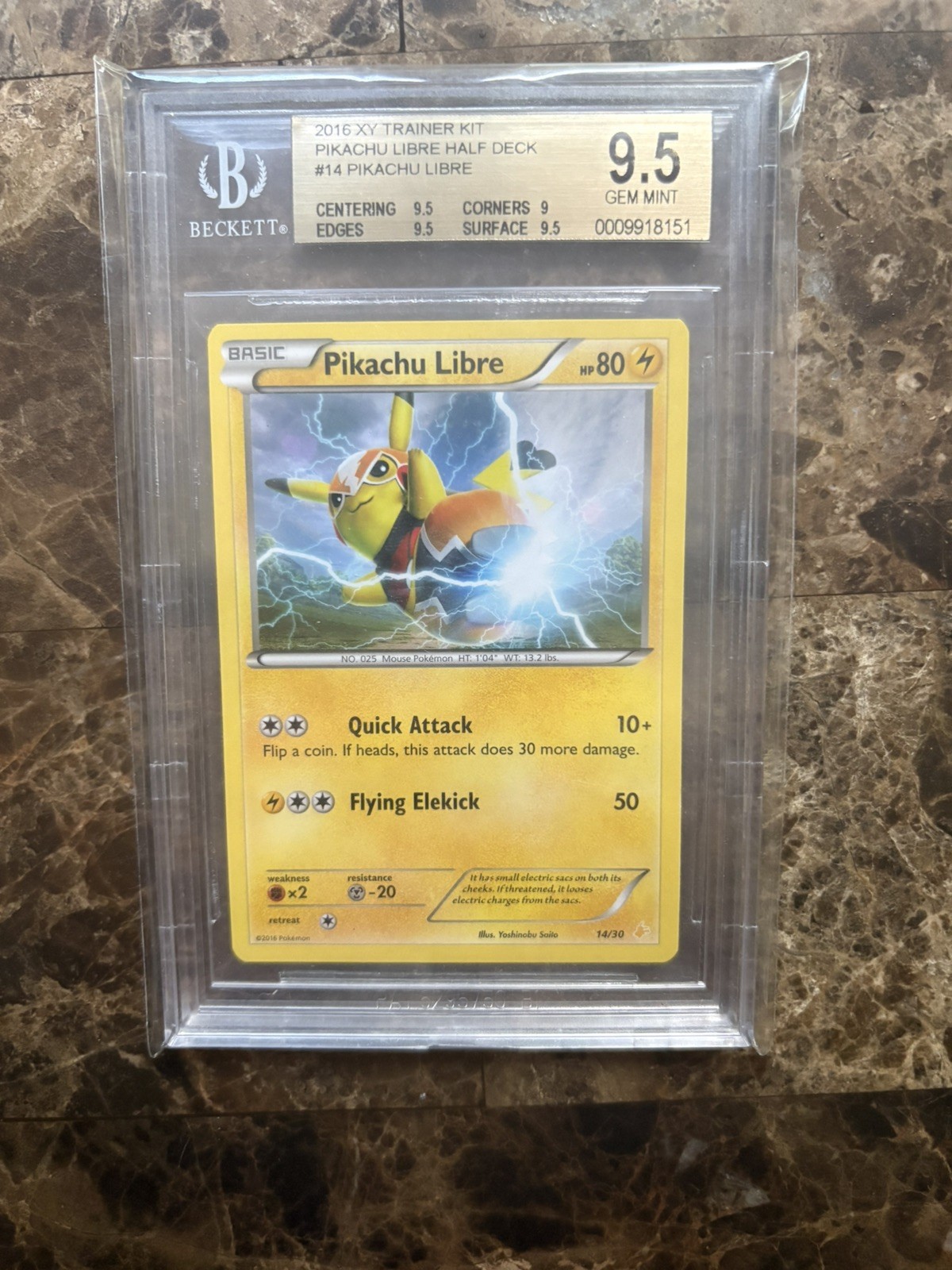 2016 Pokemon XY Trainer Kit Pikachu Libre Half Deck Pikachu Libre 14