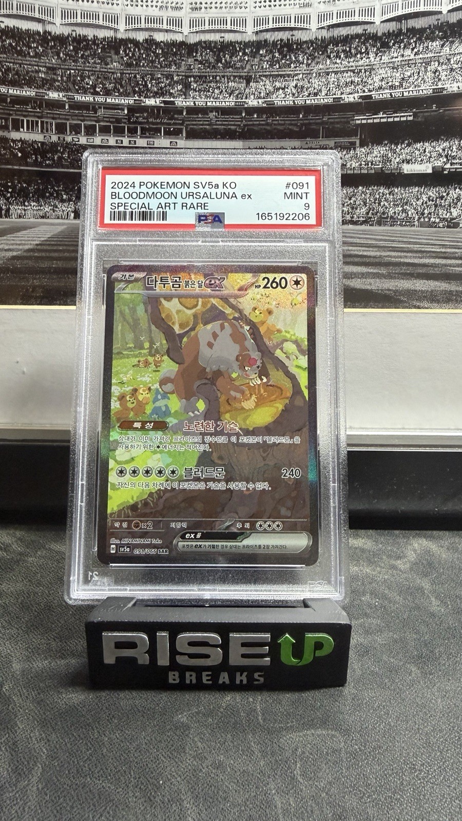 2024 Pokemon Korean Sv5a-Crimson Haze Bloodmoon Ursaluna EX Special Art Rare 091
