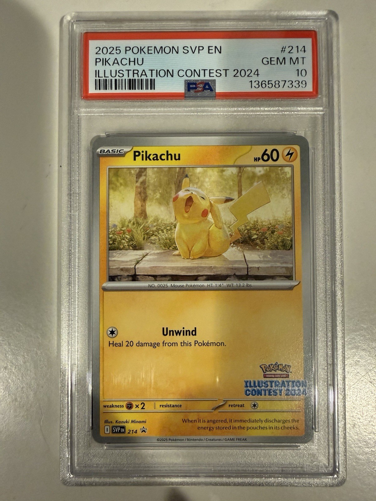 2025 Pokemon Svp EN-SV Black Star Promo Pikachu Illustration Contest 2024 214