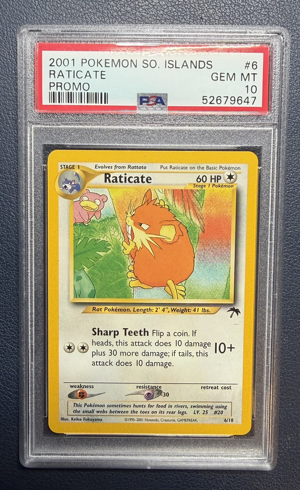 2001 Pokemon Southern Islands Promo Raticate 6
