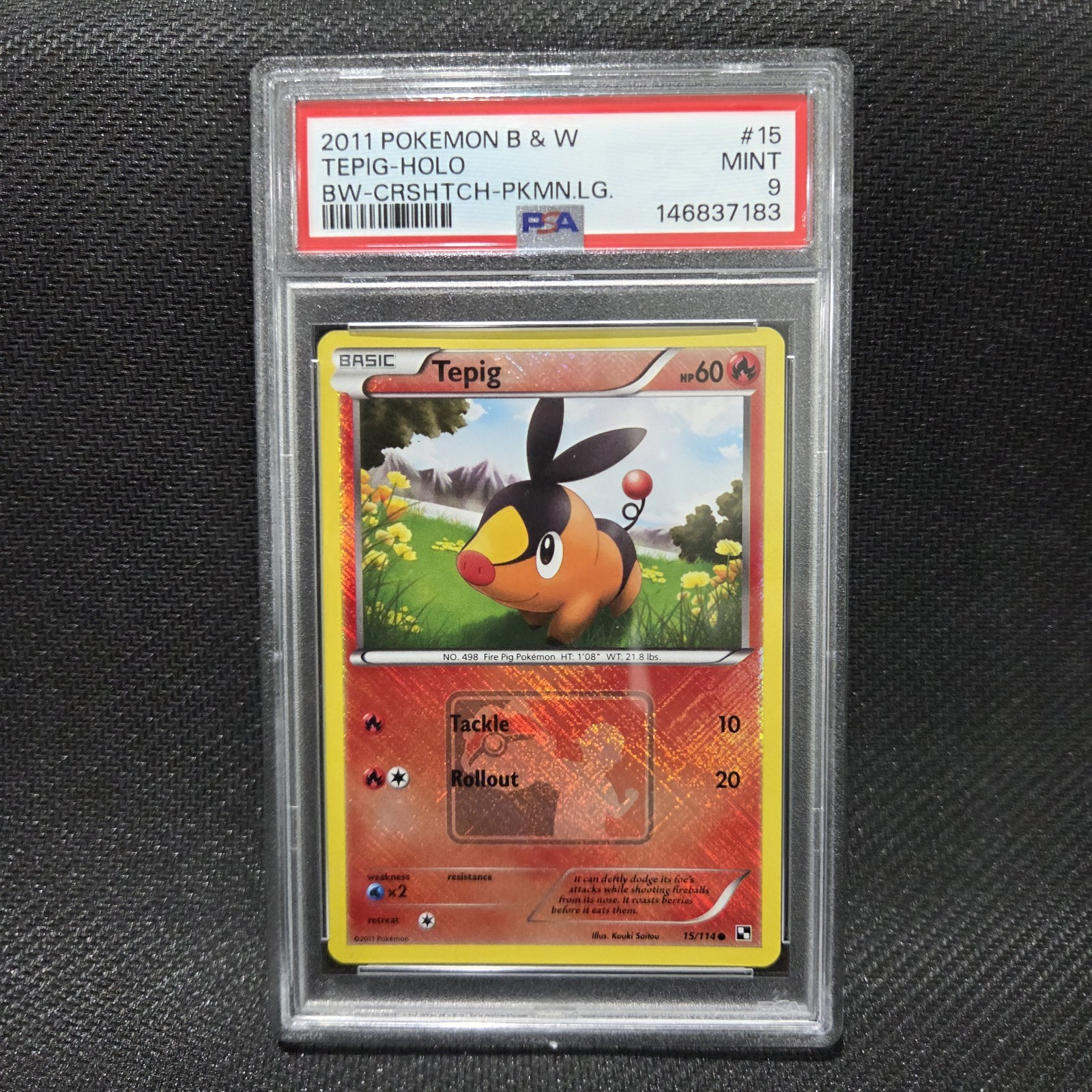 2011 Pokemon Black & White Tepig-Holo Crosshatch-2011 Pokemon League 15