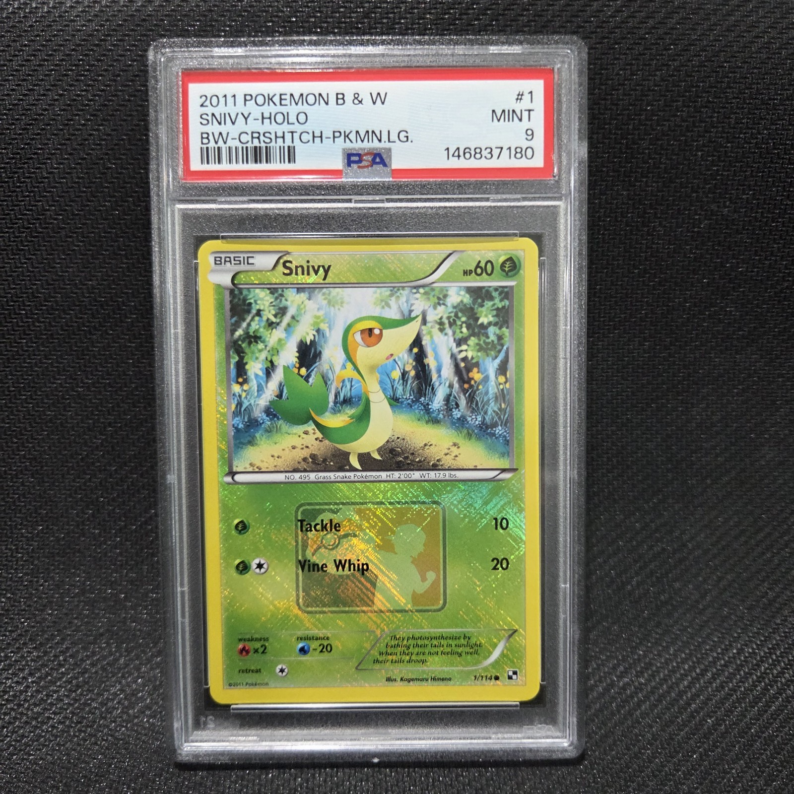 2011 Pokemon Black & White Snivy-Holo Crosshatch-2011 Pokemon League 1